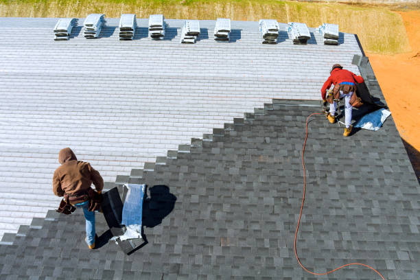 Best Roof Gutter Cleaning  in New Iberia, LA